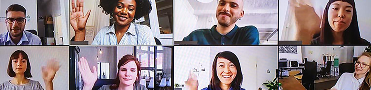 People in a virtual meeting